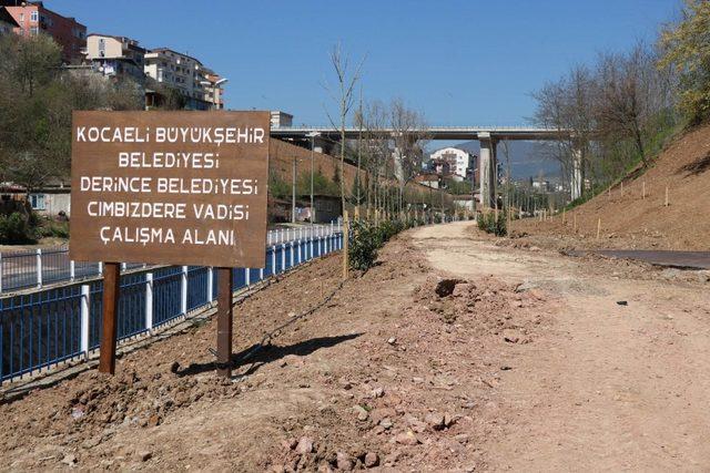 Cımbızdere Vadisi’nde 11 bin 400 metrekarelik alan ağaçlandırıldı