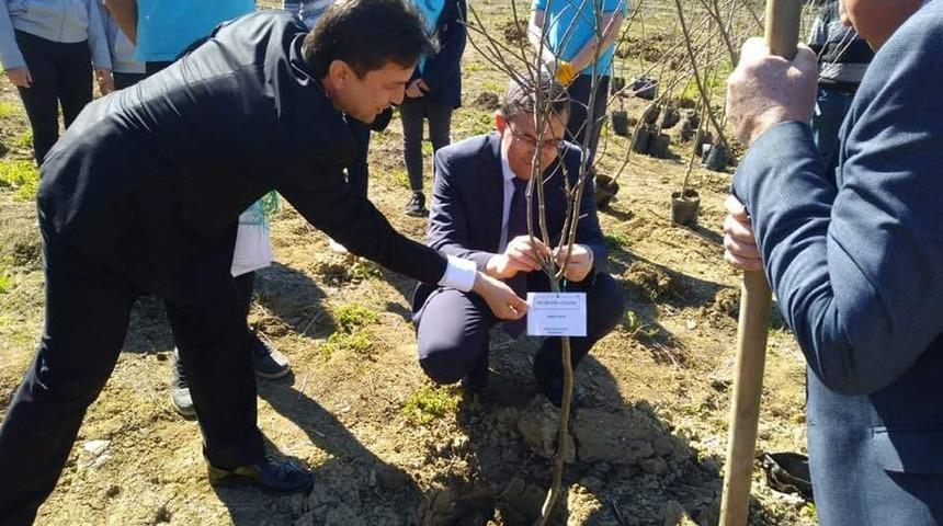 &Ouml;ğrencileri fidanları toprakla buluşturdu