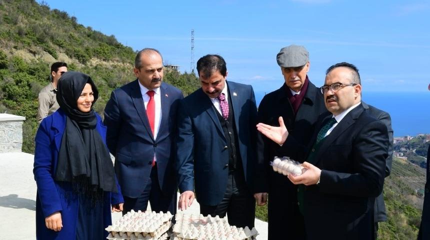 DOKAP B&ouml;lgesi Organik Yumurta Tavuk&ccedil;uluğu Projesi Trabzon&rsquo;da hayat buldu