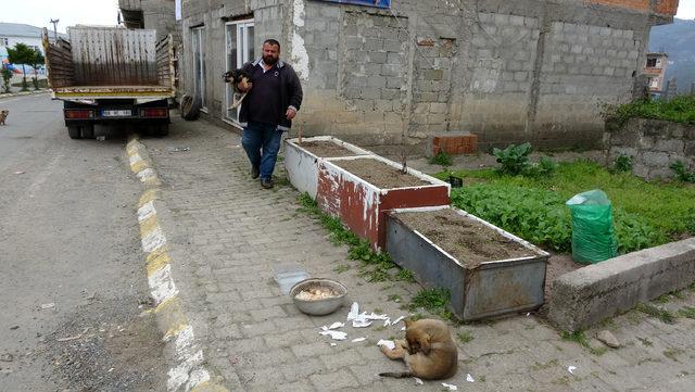 Suni teneffüsle köpeği kurtaran Yılmaz: Bu duygu anlatılmaz