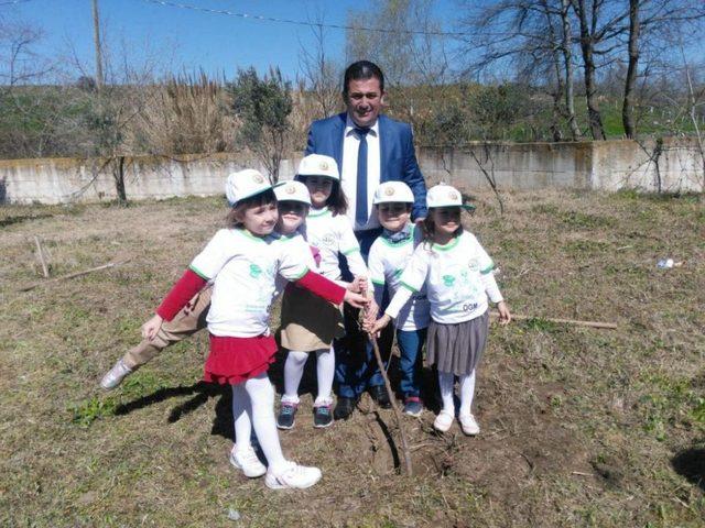 Öğrencilerden ağaçlara kuş evi