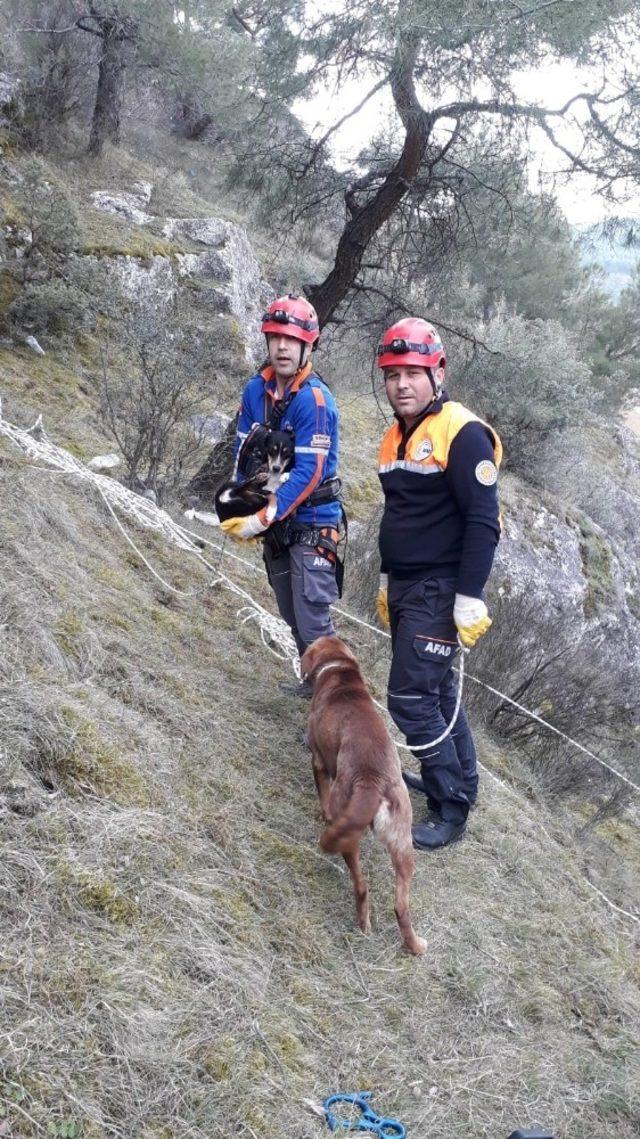 Sinop’ta köpek kurtarma operasyonu