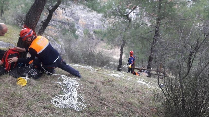 Sinop&rsquo;ta k&ouml;pek kurtarma operasyonu