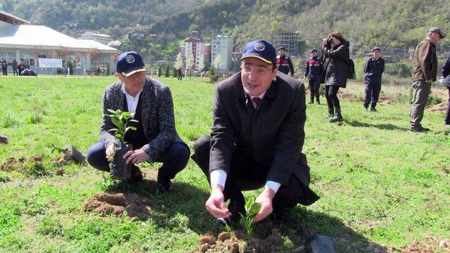 Üniversite öğrencileri fidan dikti