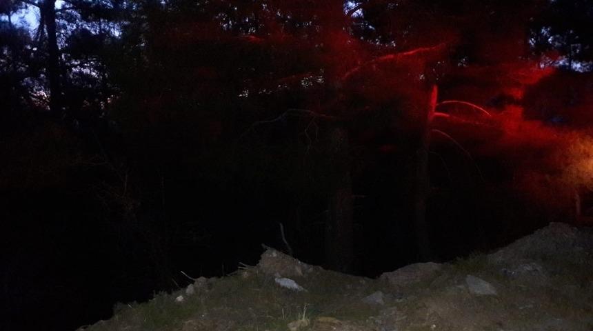 Aydın’da orman yangını