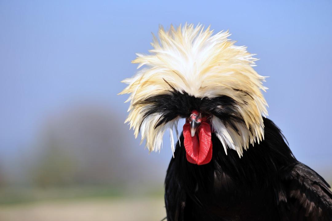 Rahibe fizan g&ouml;r&uuml;n&uuml;m&uuml; ile herkesi kendine aşık ediyor