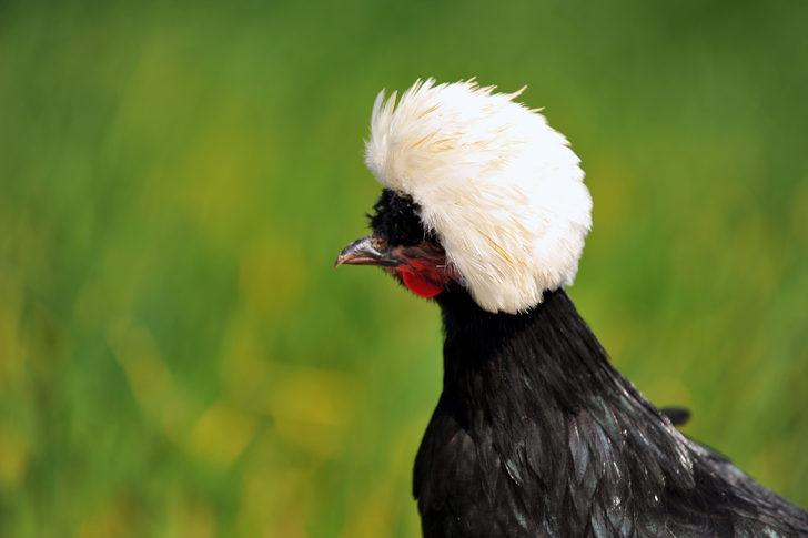 Rahibe fizan görünümü ile herkesi kendine aşık ediyor G4