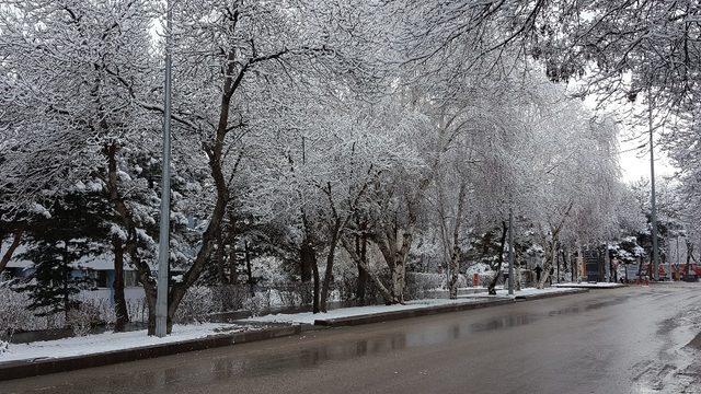 Erzurum’da kar yağışı