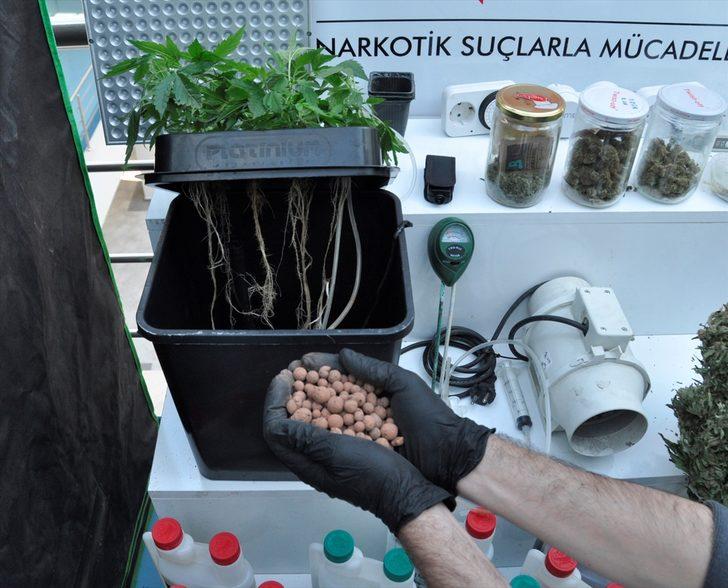 Evde topraksız tarımla Hint keneviri yetiştirmiş  G2