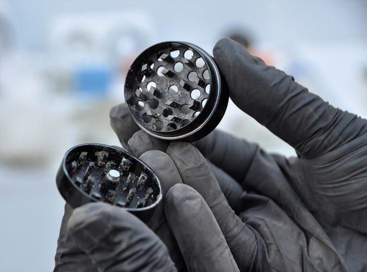 Evde topraksız tarımla Hint keneviri yetiştirmiş  G4