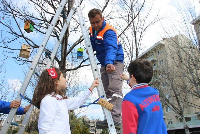 Üç Fidan Gençlik Parkı kuş evleri ile renklendi