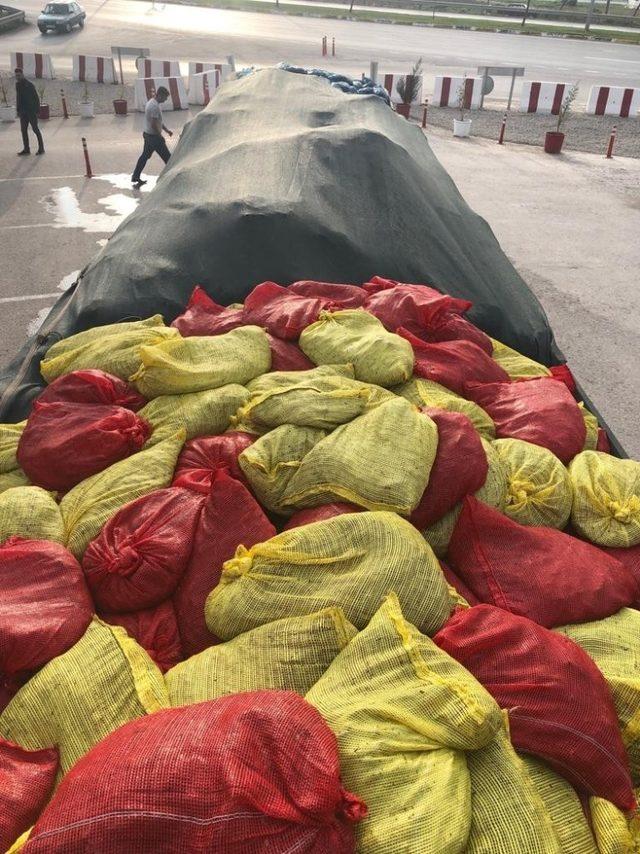 TIR’da 24 ton kaçak midye yakalandı