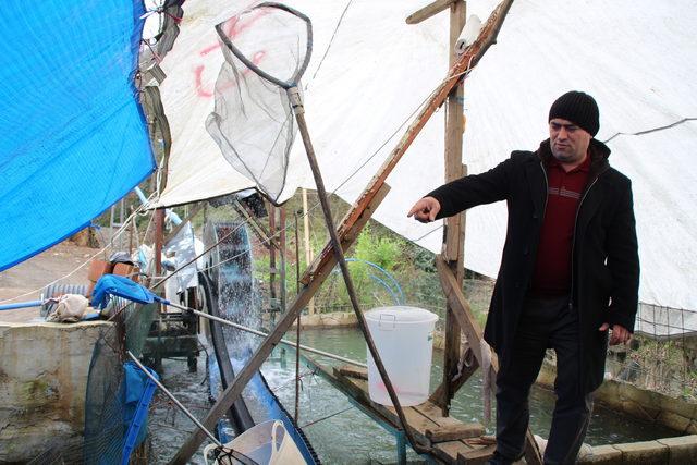 Alabalık çiftliğine mikro HES kurdu, elektriği bedavaya getirdi