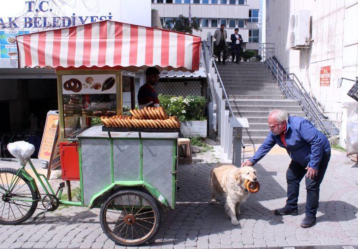 İzmir gevreği sevdalısı Daisy görenleri şaşırtıyor G1