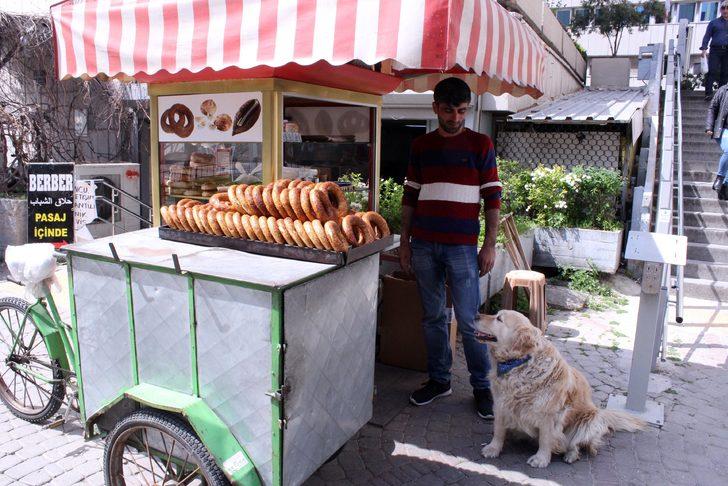 İzmir gevreği sevdalısı Daisy görenleri şaşırtıyor G3