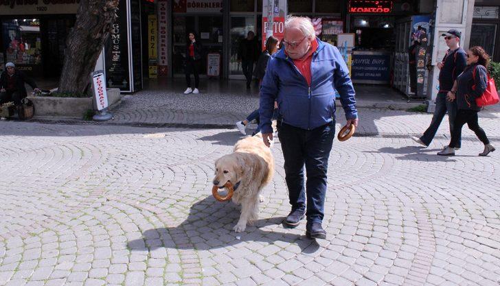 İzmir gevreği sevdalısı Daisy görenleri şaşırtıyor G4