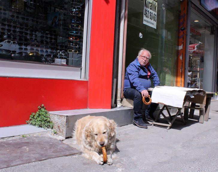 İzmir gevreği sevdalısı Daisy görenleri şaşırtıyor G5