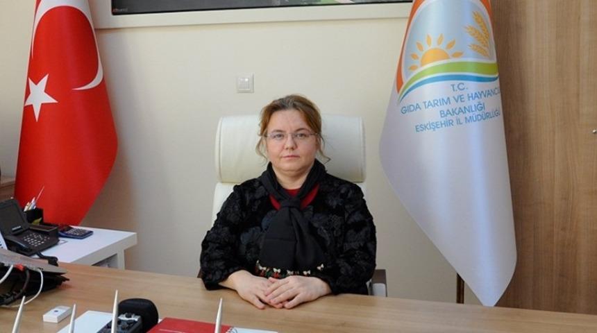 Tarımsal &uuml;retimde kullanılan elektrik bedellerinde indirim m&uuml;jdesi