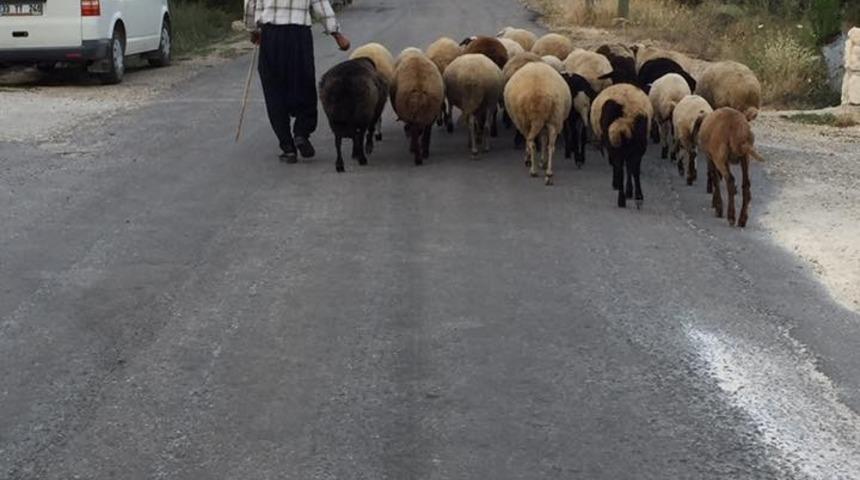 Mersin&rsquo;de 615 kişi 3 milyon lira &ccedil;oban desteği &ouml;demesi aldı