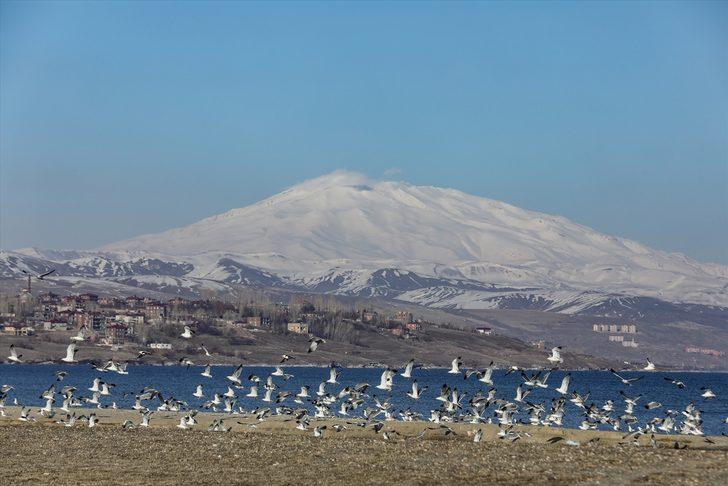 'Sakin şehir' Ahlat ziyaretçilerini bekliyor G5
