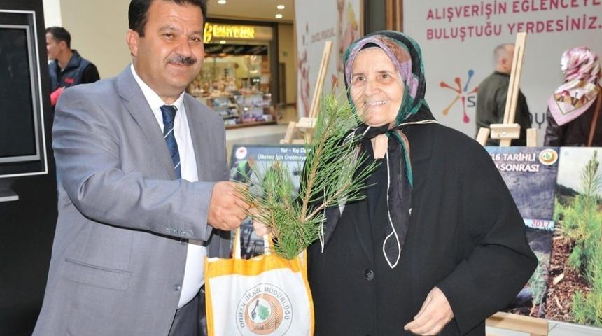 K&uuml;tahya&rsquo;da 5 bin fidan dağıtıldı