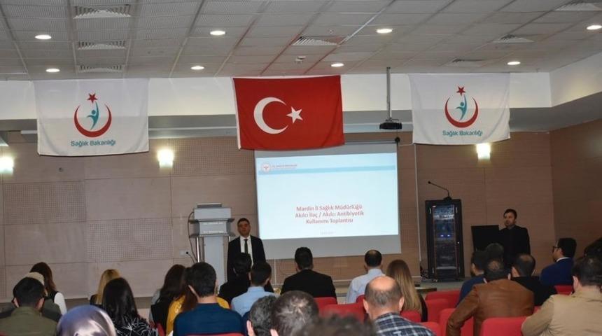 Mardin&rsquo;de sağlık personellerine akılcı ila&ccedil; kullanımı anlatıldı