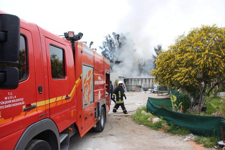 Muğla'da korkutan yangın - Muğla Haberleri