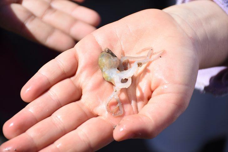 Cep telefonu da çıktı tekne motoru da! G4