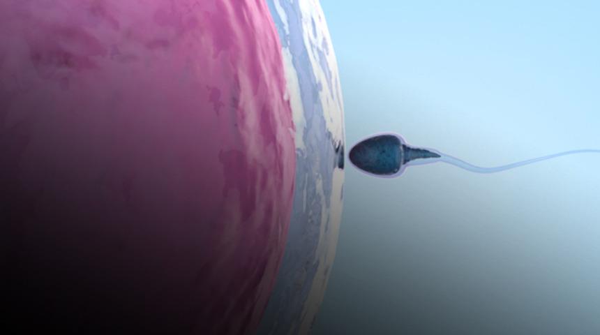 Kısırlık oranı artıyor uzmanlar uyarıyor!