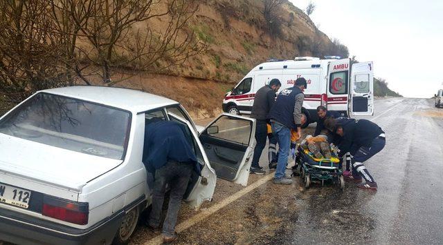 Yola düşen ağaç kazaya neden oldu