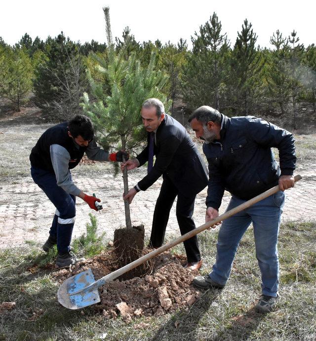 Çevreci rektör, doğum günü hediyesi olarak fidan diktiriyor