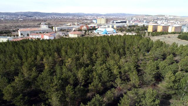 Çevreci rektör, doğum günü hediyesi olarak fidan diktiriyor