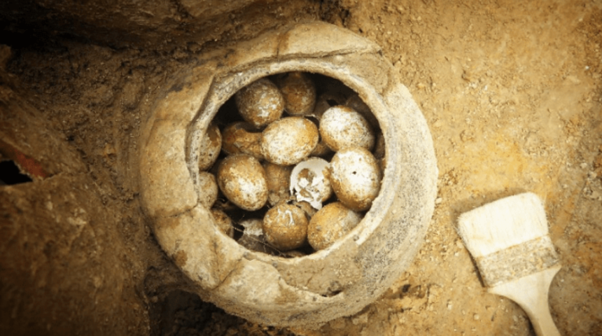 2500 yıllık mezarda kırılmamış yumurtalar bulundu!