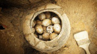 2500 yıllık mezarda kırılmamış yumurtalar bulundu!