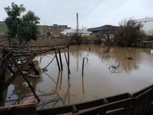 Dere yatağı taştı, mahalle sular altında kaldı