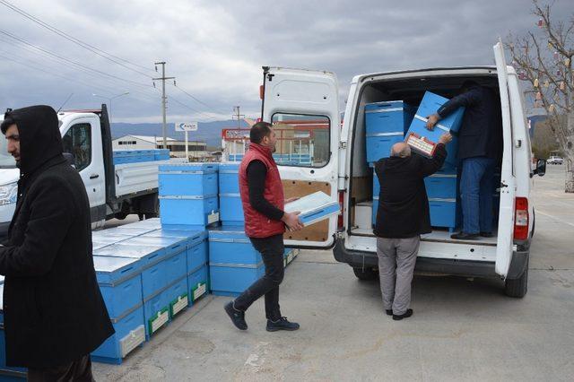 Niksar’da arıcılara 240 adet kovan dağıtıldı