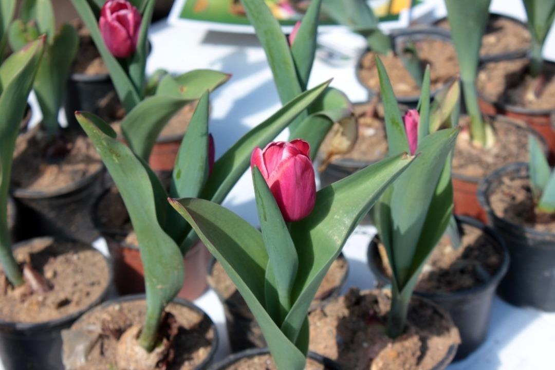 Başkan Altınok &Ouml;z&rsquo;den yeni başkana ve Kartal&rsquo;a veda mesajı