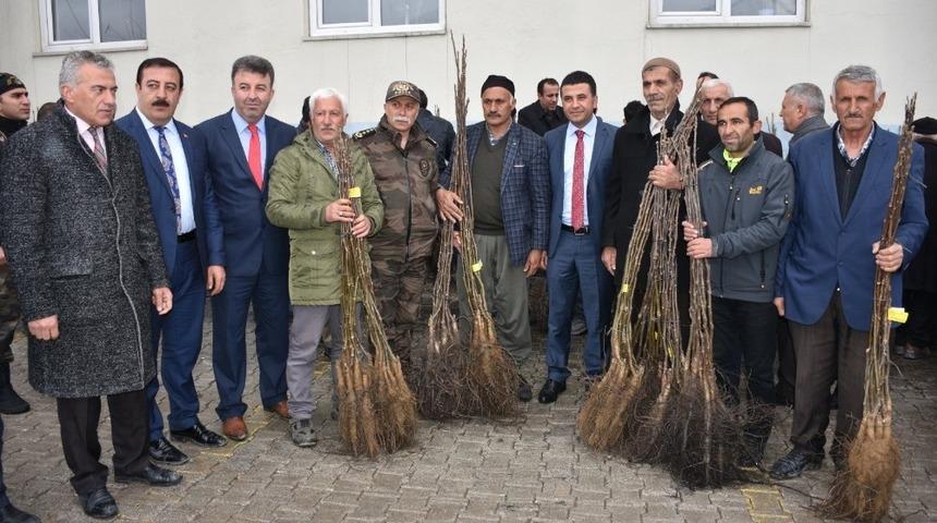 Hakkarili &ccedil;ift&ccedil;ilere ceviz fidanı desteği