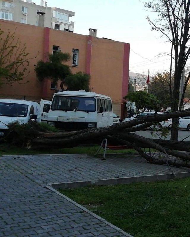 İzmir’de şiddetli rüzgar hayatı olumsuz etkiledi (3)