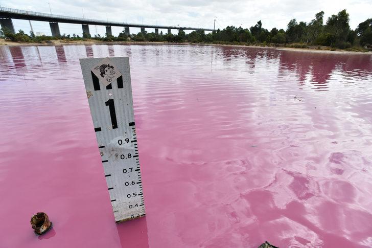 Avustralya'da bir göl pembe renge büründü G2