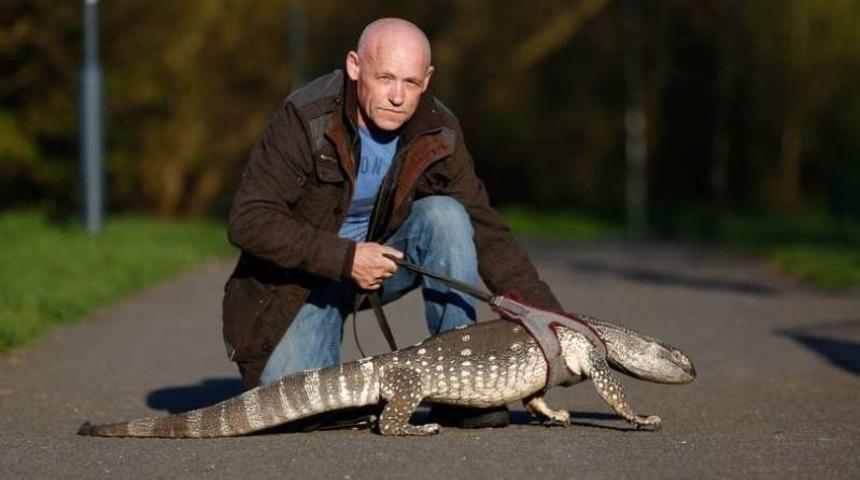 Beslediği sıradışı hayvan görenlere korku salıyor!