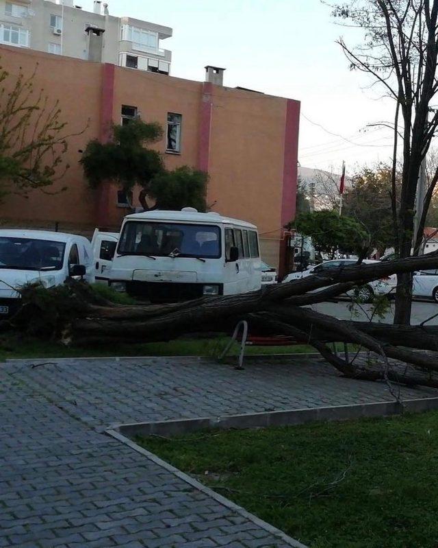 İzmir’de şiddetli fırtına: Çatılar uçtu, ağaçlar devrildi