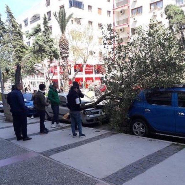 İzmir’de şiddetli fırtına: Çatılar uçtu, ağaçlar devrildi