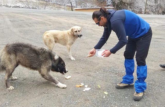 Donmak üzereyken bulduğu köpeği kilometrelerce kucağında taşıdı