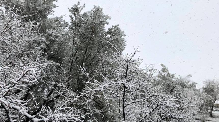 Mut&rsquo;ta, gece başlayan kar yağışı doğayı beyaza b&uuml;r&uuml;d&uuml;