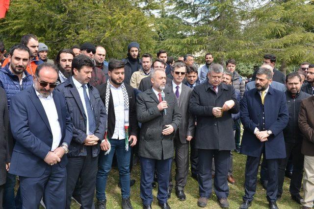 Filistinli öğrenciler SAÜ’de zeytin fidanı dikti