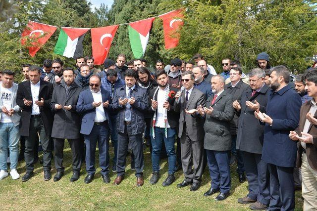 Filistinli öğrenciler SAÜ’de zeytin fidanı dikti