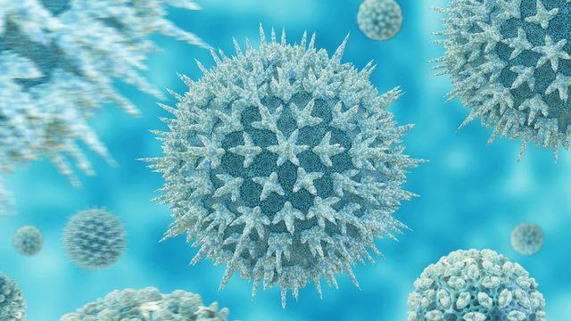 The flu virus, and its mutations, has been a constant challenge for scientists