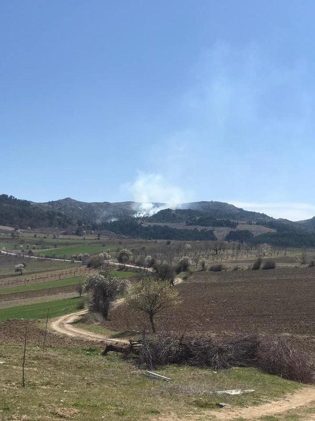 Orman yangını korkuttu