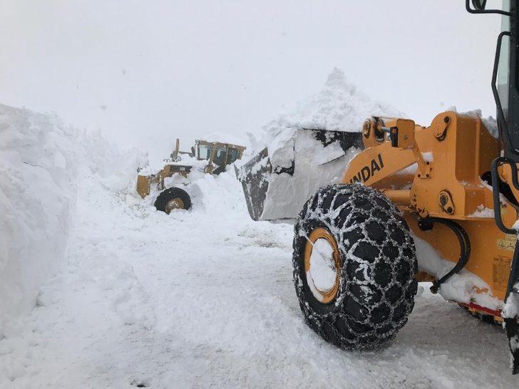 Van-Bahçesaray kara yoluna çığ düştü G4